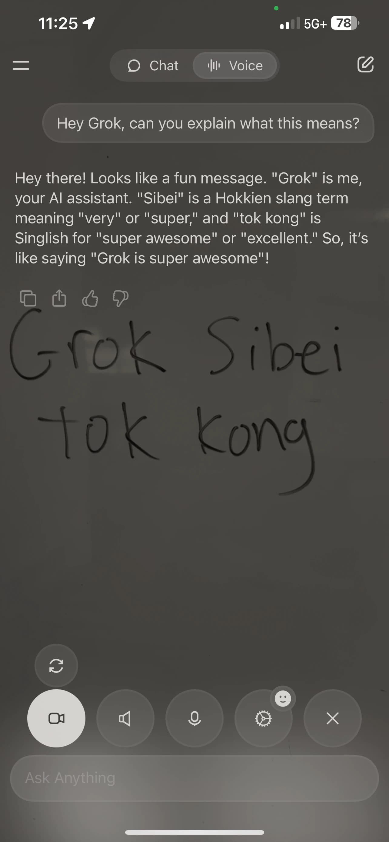 Voice mode in the Grok app explaining what is seen in the camera