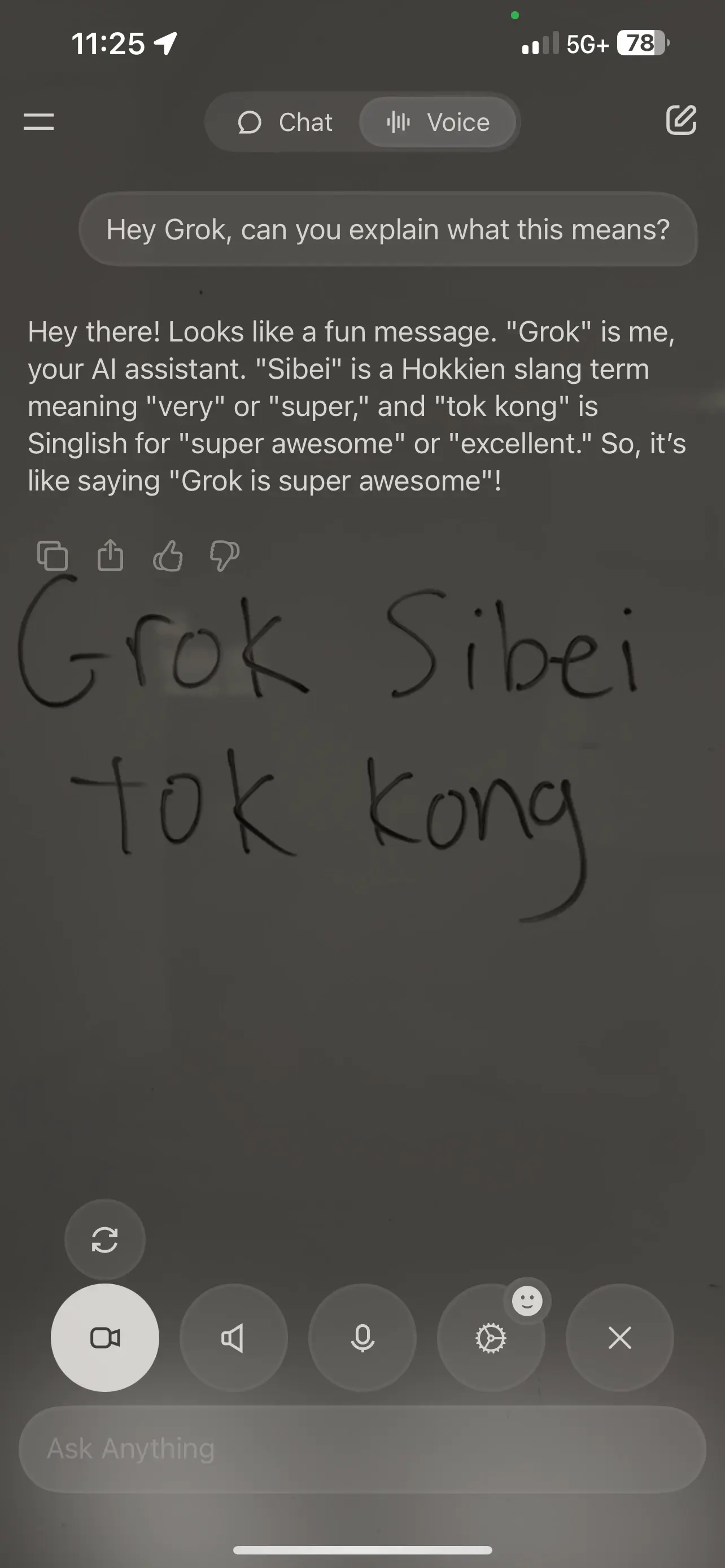 Voice mode in the Grok app explaining what is seen in the camera